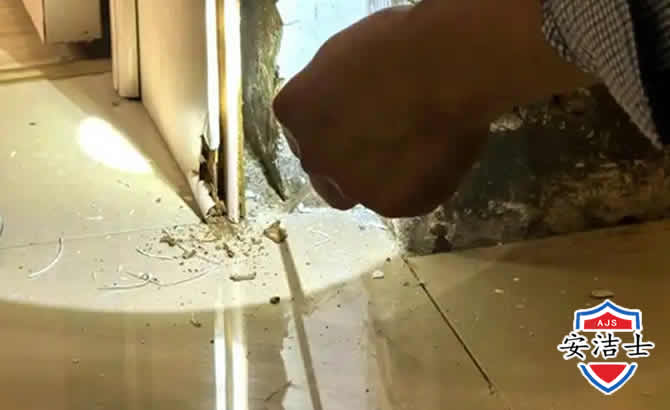 温岭房屋建筑防治白蚁