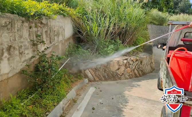 温岭道路堤坝白蚁防治
