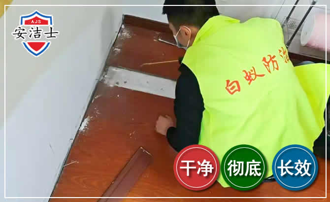 温岭除四害现场