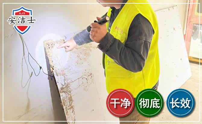 温岭除白蚁现场