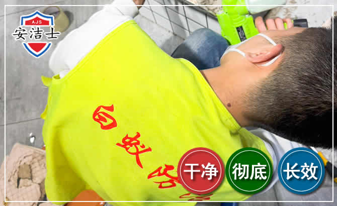 温岭白蚁根治现场